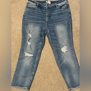 Lane Bryant Distressed Jeans w/Frayed Hem-EUC - SZ 18